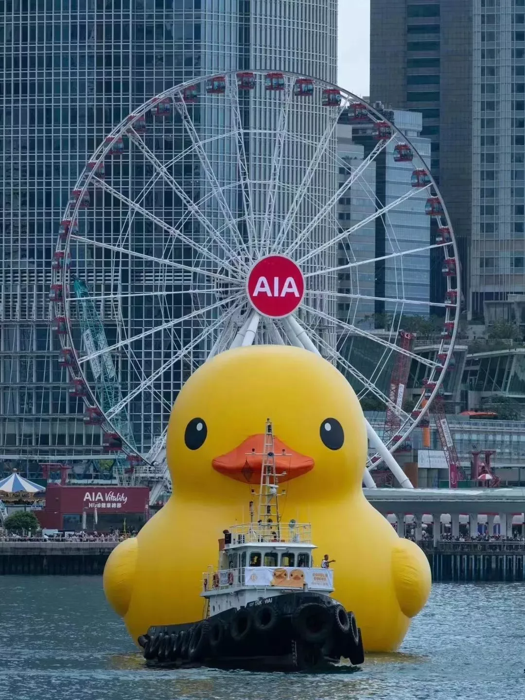 香港保险| 友邦「友联系」APP超全使用攻略！查看保单、理赔、续期缴费、绑定自动转账等统统在线实现！ - 中界海外